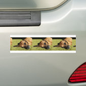 Rhodschicht Autoaufkleber (Auf Auto)
