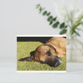 Rhodschicht Postkarte (Stehend Vorderseite)