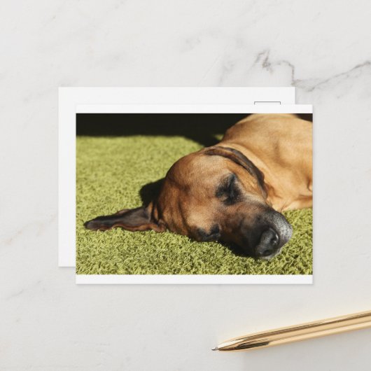 Rhodschicht Postkarte (Vorderseite/Rückseite Beispiel)