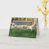 Rhondas Valor Litter Bench Foto Karte (Gelbe Blume)