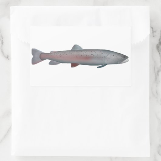 Rhône-Forelle Rechteckiger Aufkleber (Tasche)