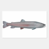 Rhône-Forelle Rechteckiger Aufkleber (Vorderseite)