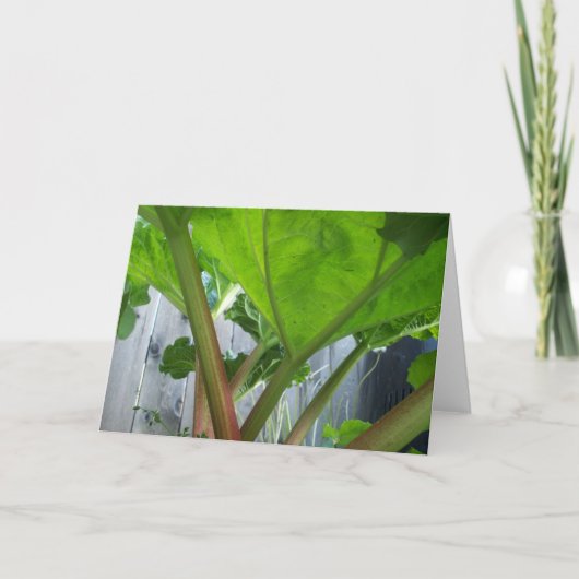 Rhubarb Card Karte (Vorderseite)