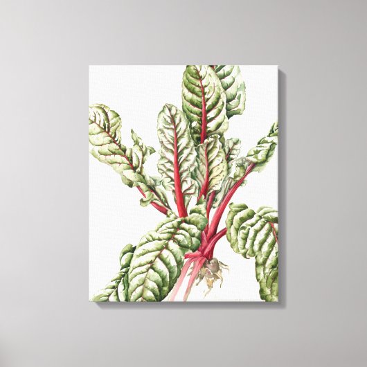 Rhubarb Chard 1992 Leinwanddruck (Vorderseite)