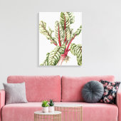 Rhubarb Chard 1992 Leinwanddruck (Insitu (Wohnzimmer))