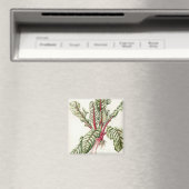 Rhubarb Chard 1992 Magnet (In Situ (Geschirrspüler))