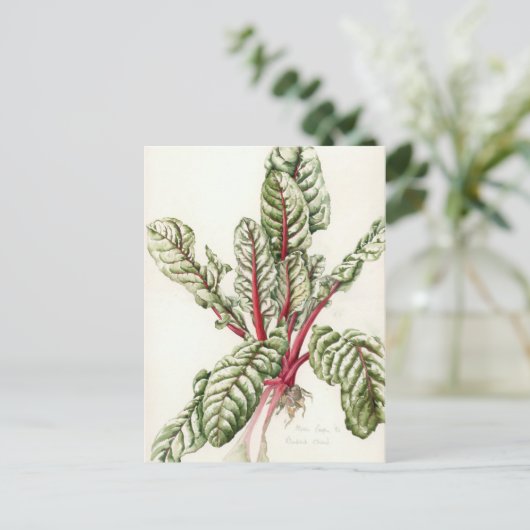 Rhubarb Chard 1992 Postkarte (Stehend Vorderseite)