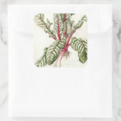 Rhubarb Chard 1992 Quadratischer Aufkleber (Tasche)