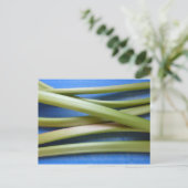 Rhubarb Postkarte (Stehend Vorderseite)