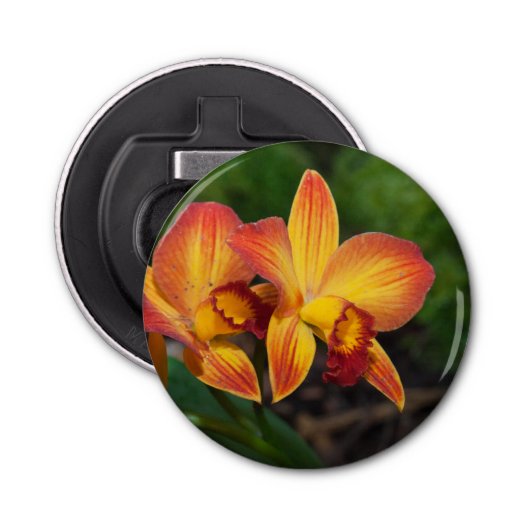 Rhyncattleanthe Liebe Tapestry Flaschenöffner (Vorderseite)