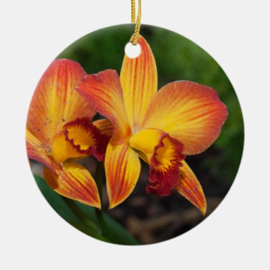 Rhyncattleanthe Liebe Tapestry Keramikornament (Vorne)