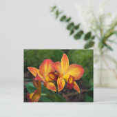 Rhyncattleanthe Liebe Tapestry Postkarte (Stehend Vorderseite)