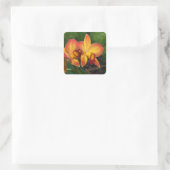 Rhyncattleanthe Liebe Tapestry Quadratischer Aufkleber (Tasche)