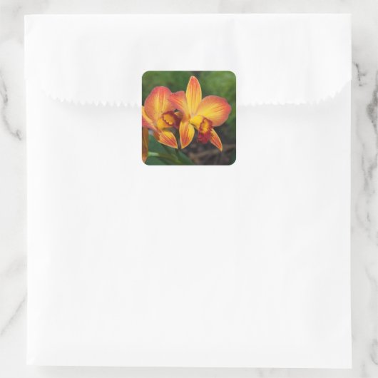 Rhyncattleanthe Liebe Tapestry Quadratischer Aufkleber (Tasche)