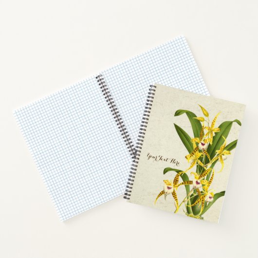 Rhynchostele cordata orchid notizblock (Innenseite)