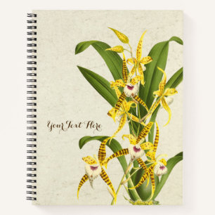 Rhynchostele cordata Orchidee Notizblock