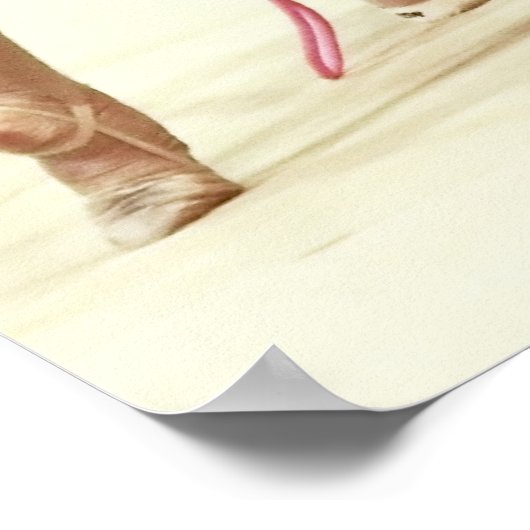 Rhythmisch gymnastisch poster (Ecke)