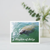 Rhythmus des Belize Manatee im Fluss Blank Card Postkarte (Stehend Vorderseite)