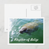 Rhythmus des Belize Manatee im Fluss Blank Card Postkarte (Vorne/Hinten)