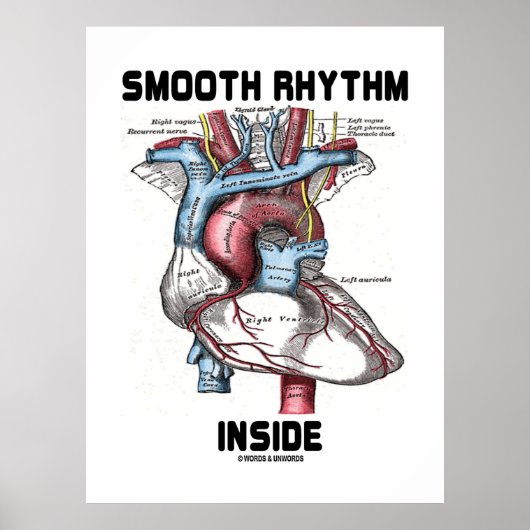 Rhythmus im Inneren (medizinisches anatomisches He Poster (Vorne)