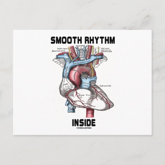 Rhythmus im Inneren (medizinisches anatomisches He Postkarte (Vorderseite)