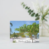Rhythmus von Belize Postkarte (Stehend Vorderseite)