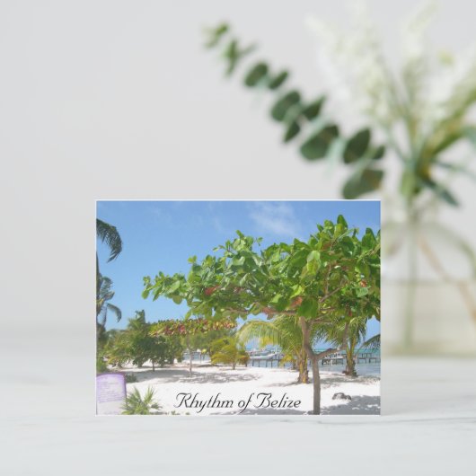 Rhythmus von Belize Postkarte (Stehend Vorderseite)
