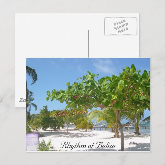 Rhythmus von Belize Postkarte (Vorne/Hinten)