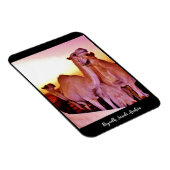 Riad, Saudi-Arabien Magnet (Rechte Seite)