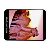 Riad, Saudi-Arabien Magnet (Horizontal)