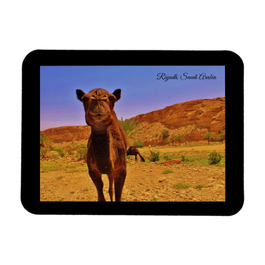 Riad, Saudi-Arabien Magnet (Horizontal)