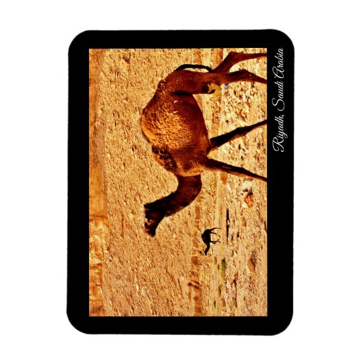 Riad, Saudi-Arabien Magnet (Vertikal)