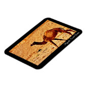 Riad, Saudi-Arabien Magnet (Linke Seite)