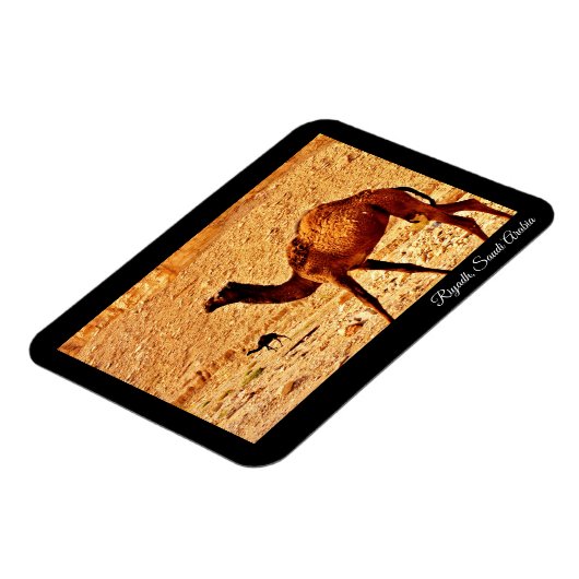 Riad, Saudi-Arabien Magnet (Linke Seite)