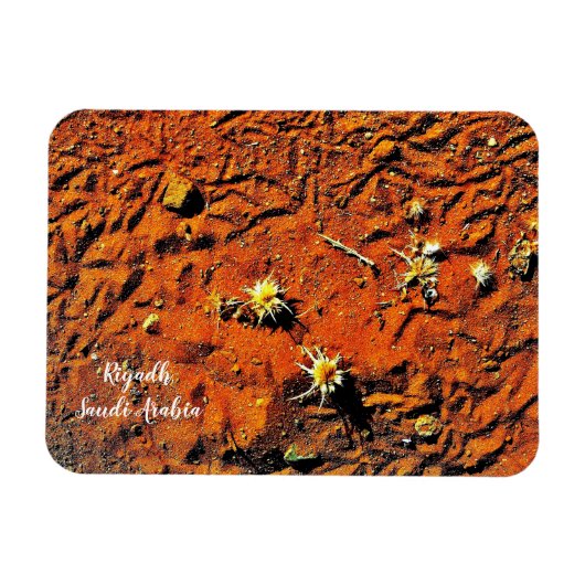Riad, Saudi-Arabien Magnet (Horizontal)