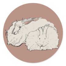 Riant Angora Rabbits