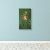 Riant Banana Spider Leinwand (Insitu (Holzboden))