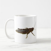 Riant Grasshopper Kaffeetasse (Links)