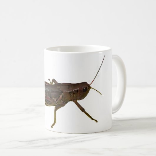 Riant Grasshopper Kaffeetasse (VorderseiteRechts)
