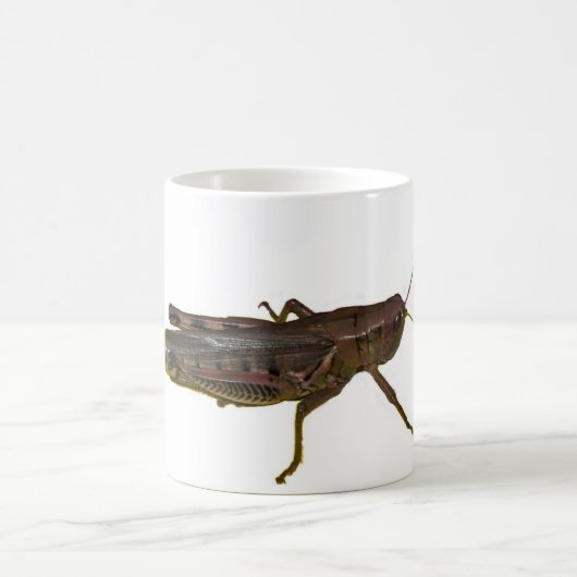 Riant Grasshopper Kaffeetasse (Mittel)