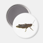 Riant Grasshopper Magnet (Vorderseite/Rückseite)