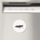 Riant Grasshopper Magnet (In Situ (Geschirrspüler))