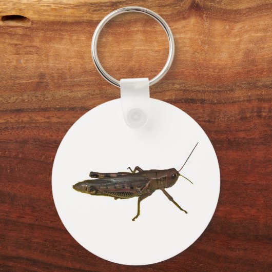 Riant Grasshopper Schlüsselanhänger (Vorderseite)