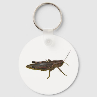 Riant Grasshopper Schlüsselanhänger