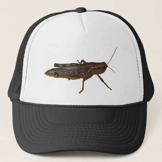 Riant Grasshopper Truckerkappe (Vorderseite)