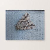 Riant Moth Jigsaw Puzzle (Horizontal)
