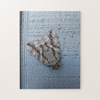 Riant Moth Jigsaw Puzzle