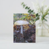 Riant Mushroom Postkarte (Stehend Vorderseite)