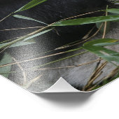 Riant Panda Fotodruck (Ecke)