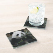 Riant Panda Glasuntersetzer (Schrägansicht)